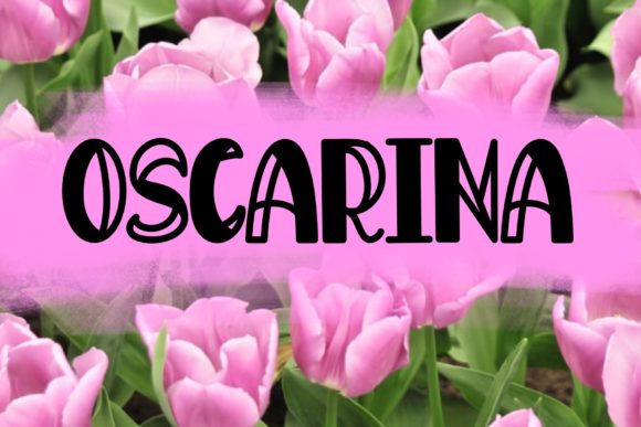 Oscarina Display Font for Bold Digital Branding